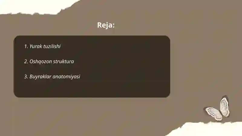 Yurak tuzilishi 2