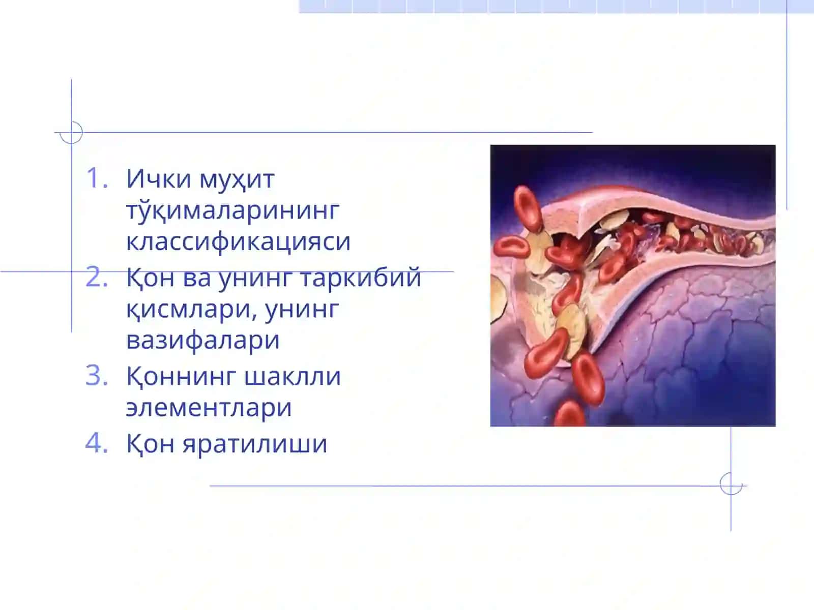 Ички муҳит тўқимаси 2