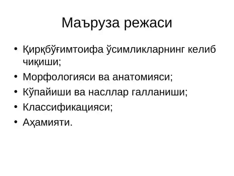 Қирқбўғимтоифа ўсимликлар (Equisetophyta) бўлими 2