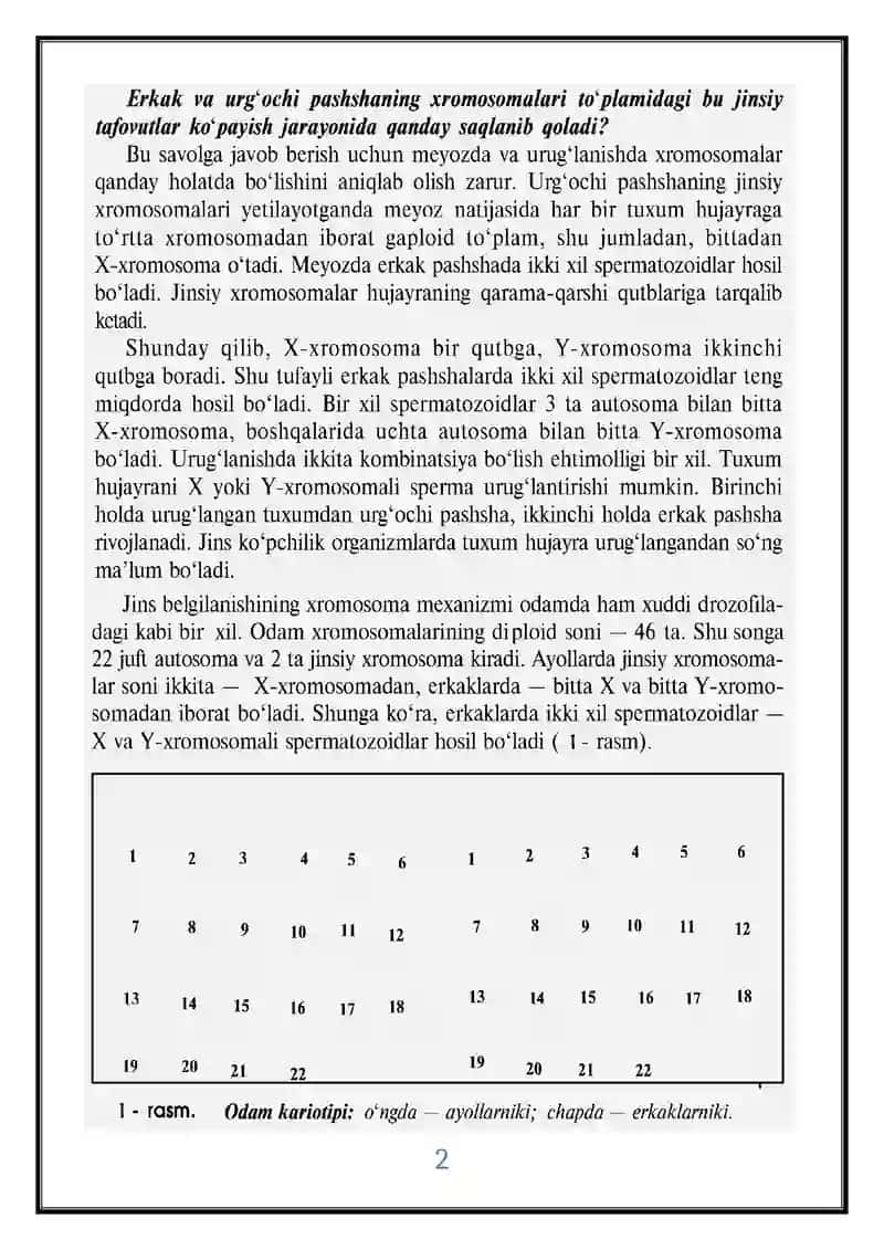 Jinsiy xromosomalar va gomogametali 2