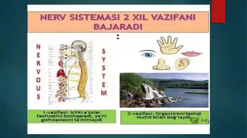 Ruziyeva Gavharijodidan lavha 2