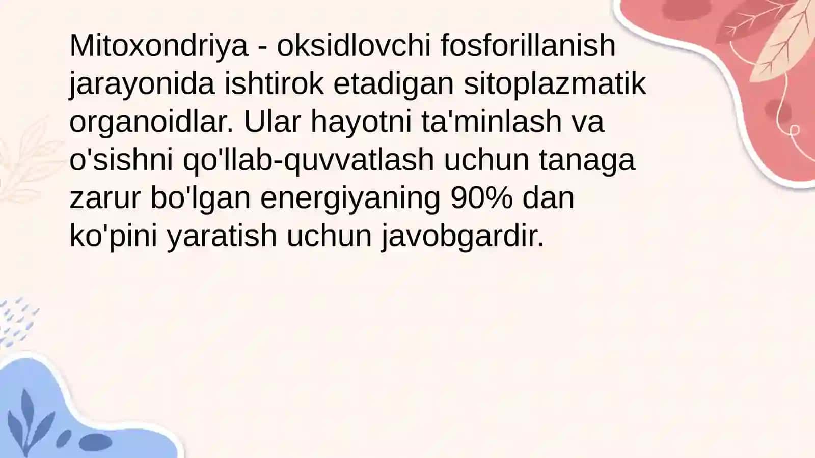 Mitoxondriya 2