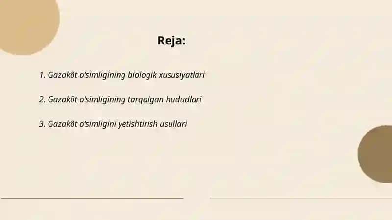 Gazakõt oʻsimligi 2