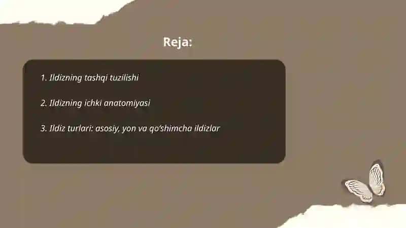 O'simliklarning vegitativ o'rgani 2