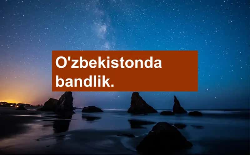 O'zbekistondabandlik 2
