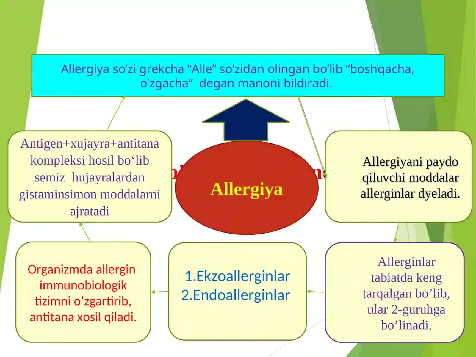 Allergiyaga qarshi dorivorlar 2
