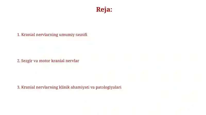 Bosh miya nervlari umumiy tasnifi 2