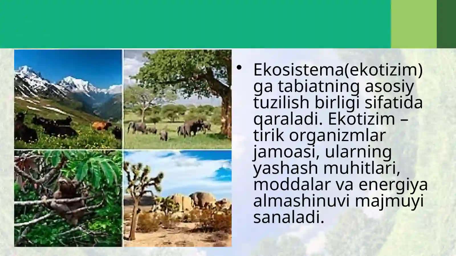 Ekotizimlarning trofik strukturasi 2