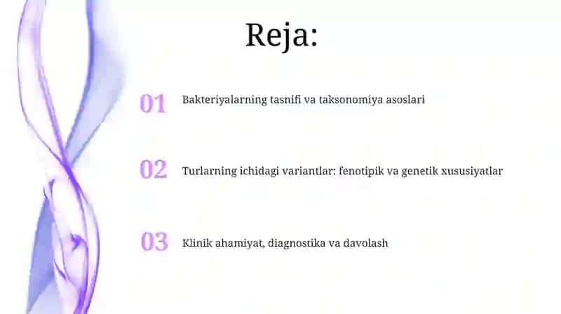 Bakteriyalar klassifikatsiyasi 2