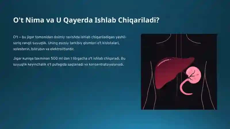 O'tning-Hazm-Jarayonidagi-Orni (2) 2