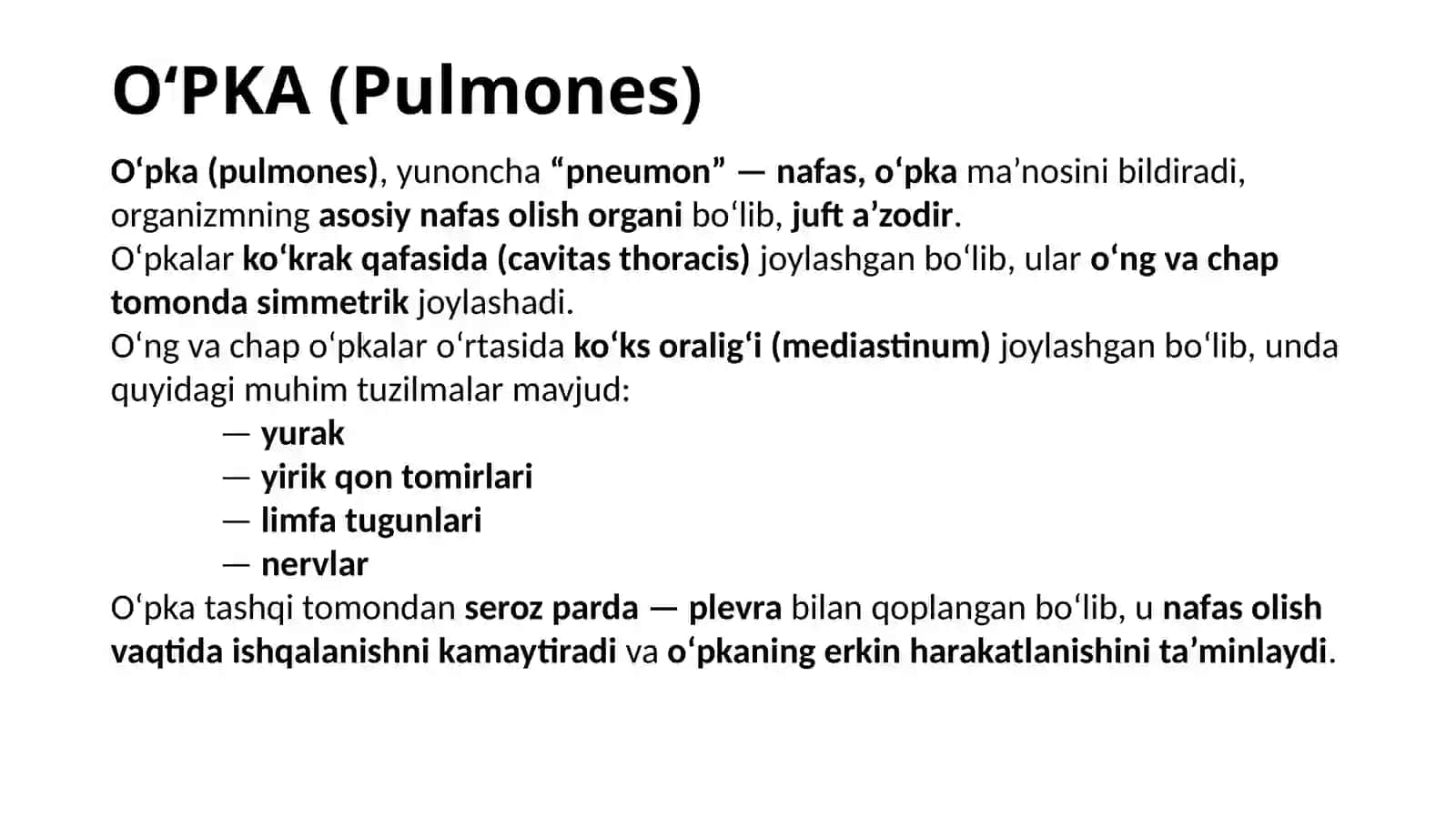 O‘PKA VA PLEVRA ANATOMIYASI 2