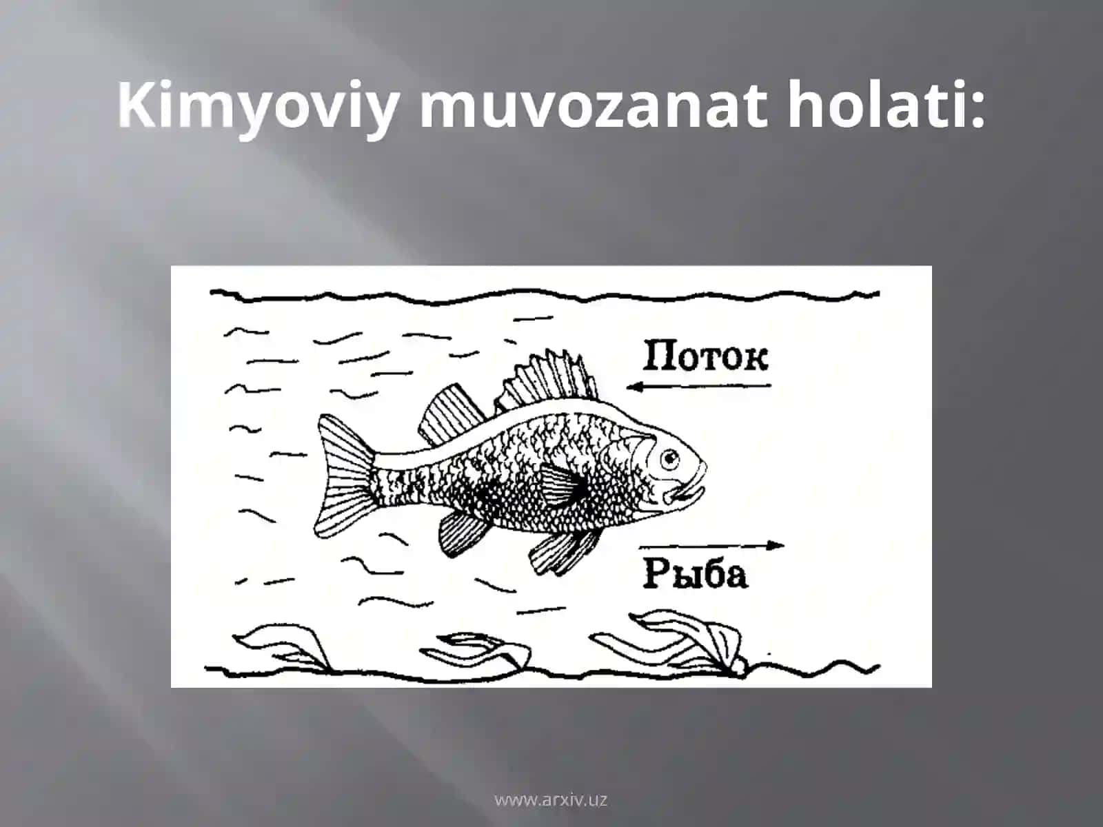 Kimyoviymuvozanatgata’siretuvchiomillar 2