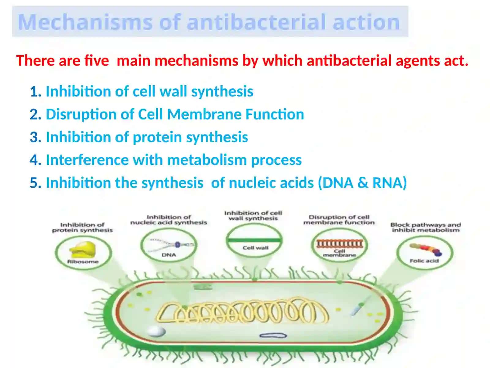 Mode of Antibiotics action 2