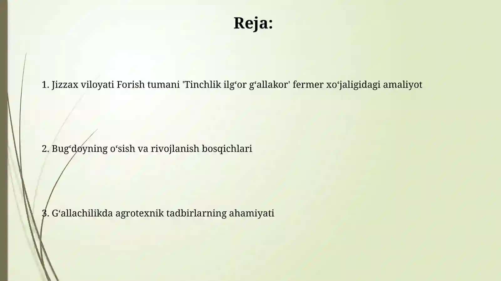 Bugʻdoy osimligining oʻsishi va rivojlanish bosqichi 2