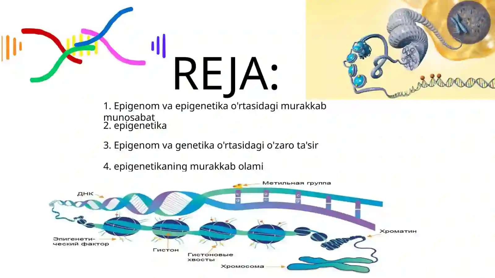 Epigenom va epigenetika 2