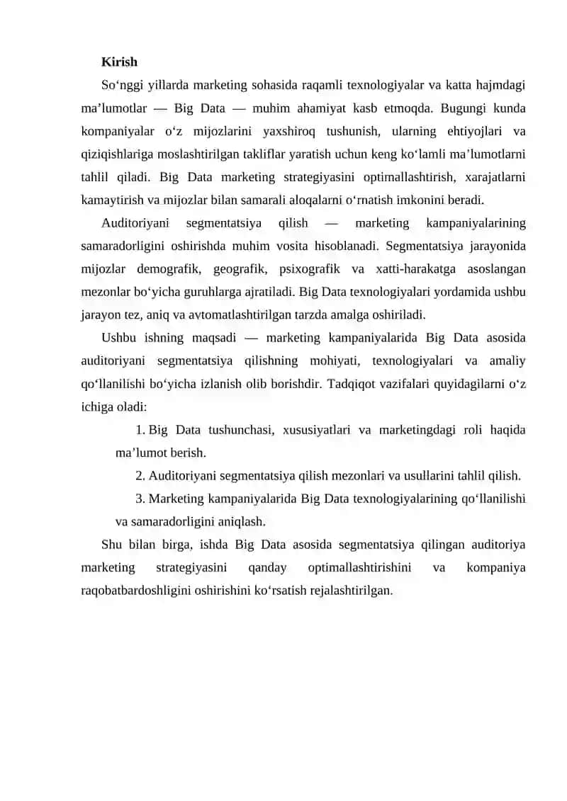 Big Data asosida Auditoriyani Segmentatsiya Qilish 2