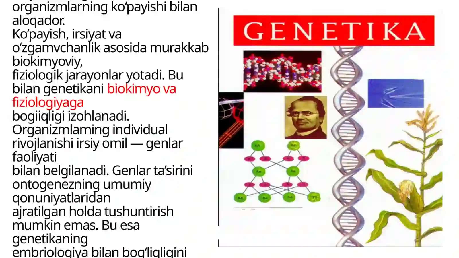 Tabiiy fanlar tizimi da genetika ning o’rni 2