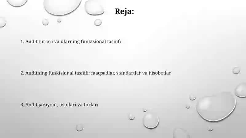 Auditorlik tekshiruvi 2