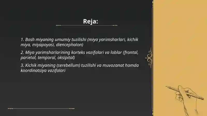 Bosh va orqa miyaning tuzilishi hamda vazifalari 2