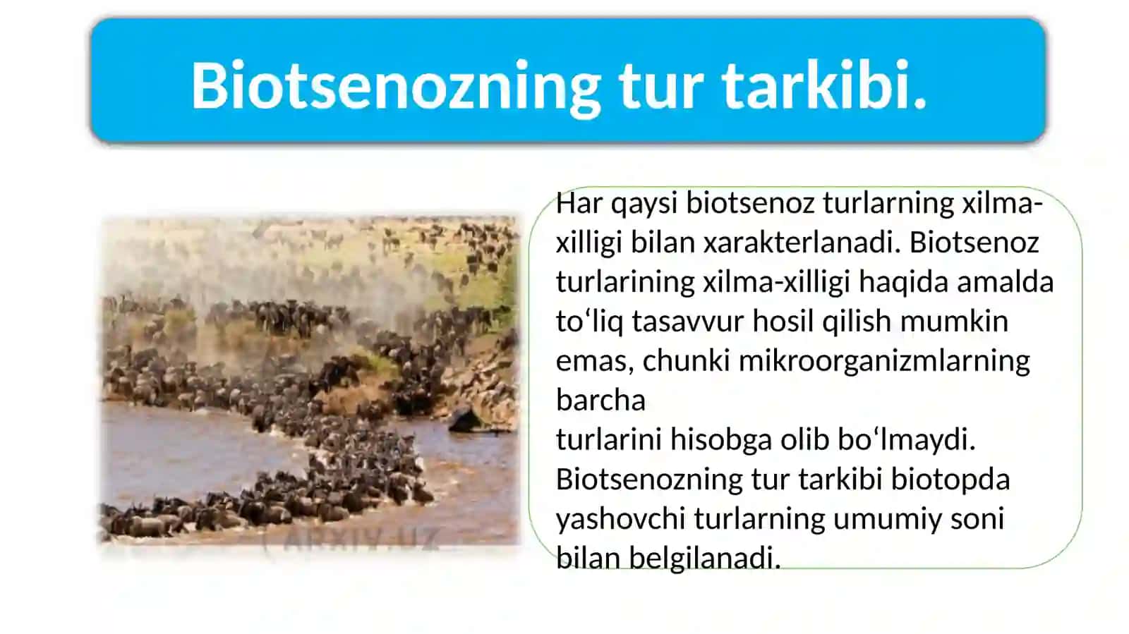 Biotsenozning turtarkibi 2