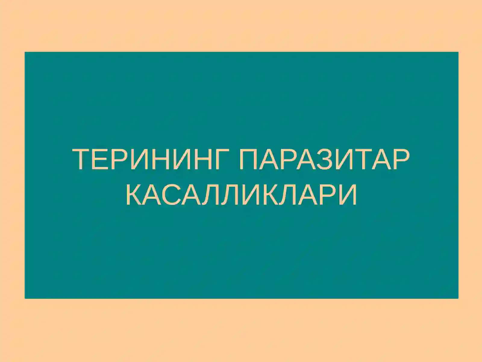 Терининг тузилиши, морфологик элементлари 2