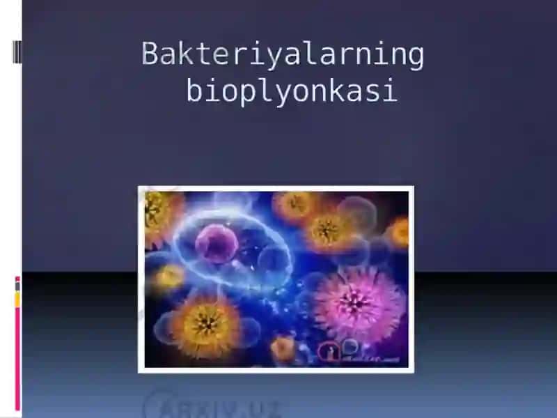 Bakteriyalar bioplenkasi 2