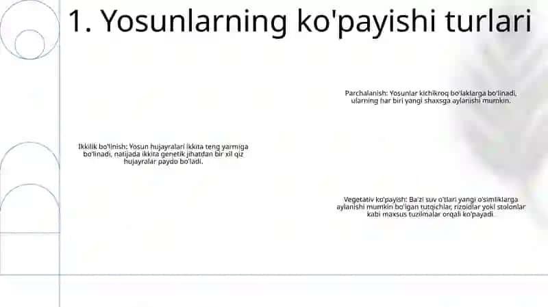Yosunlarning Ko'payish Usullari 2