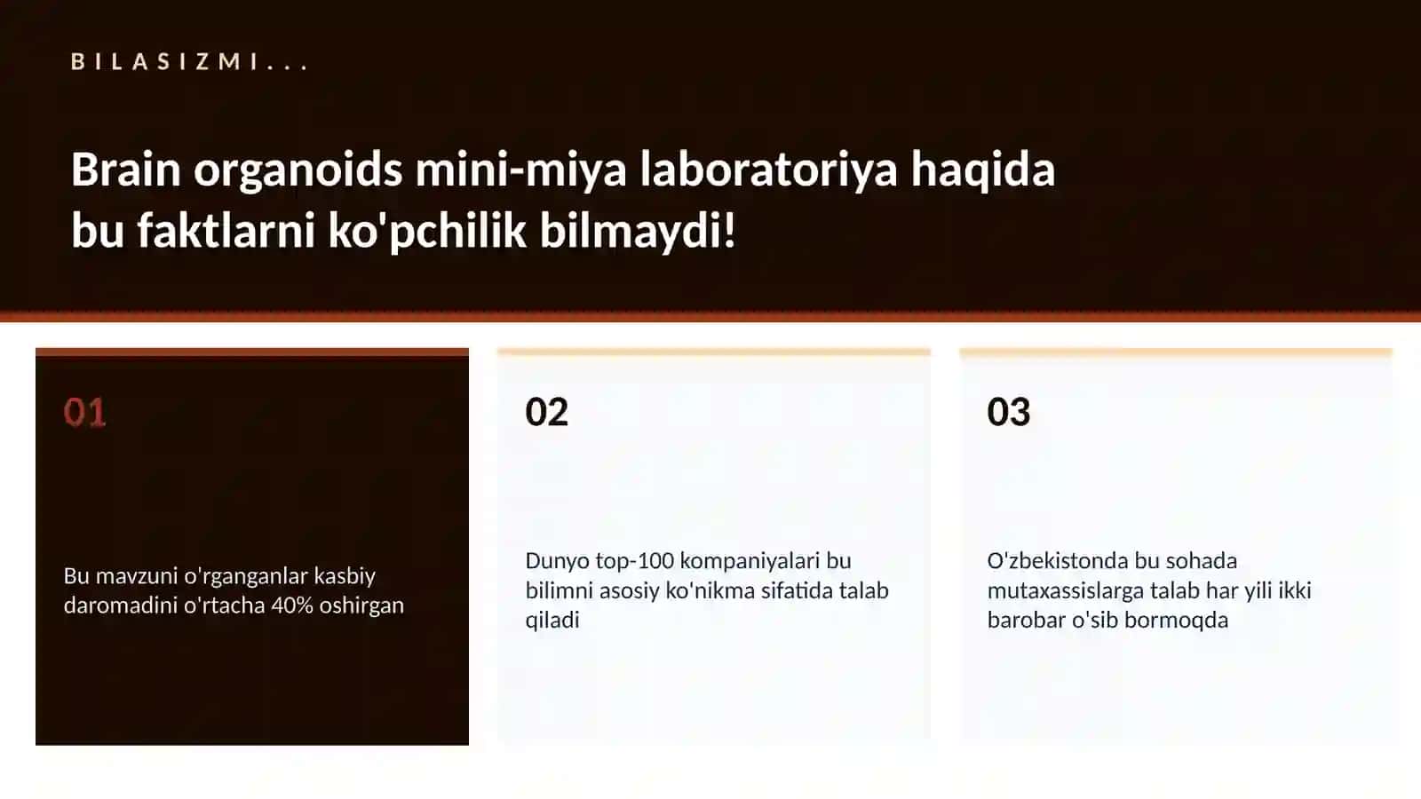Brain organoids mini-miya laboratoriya 2