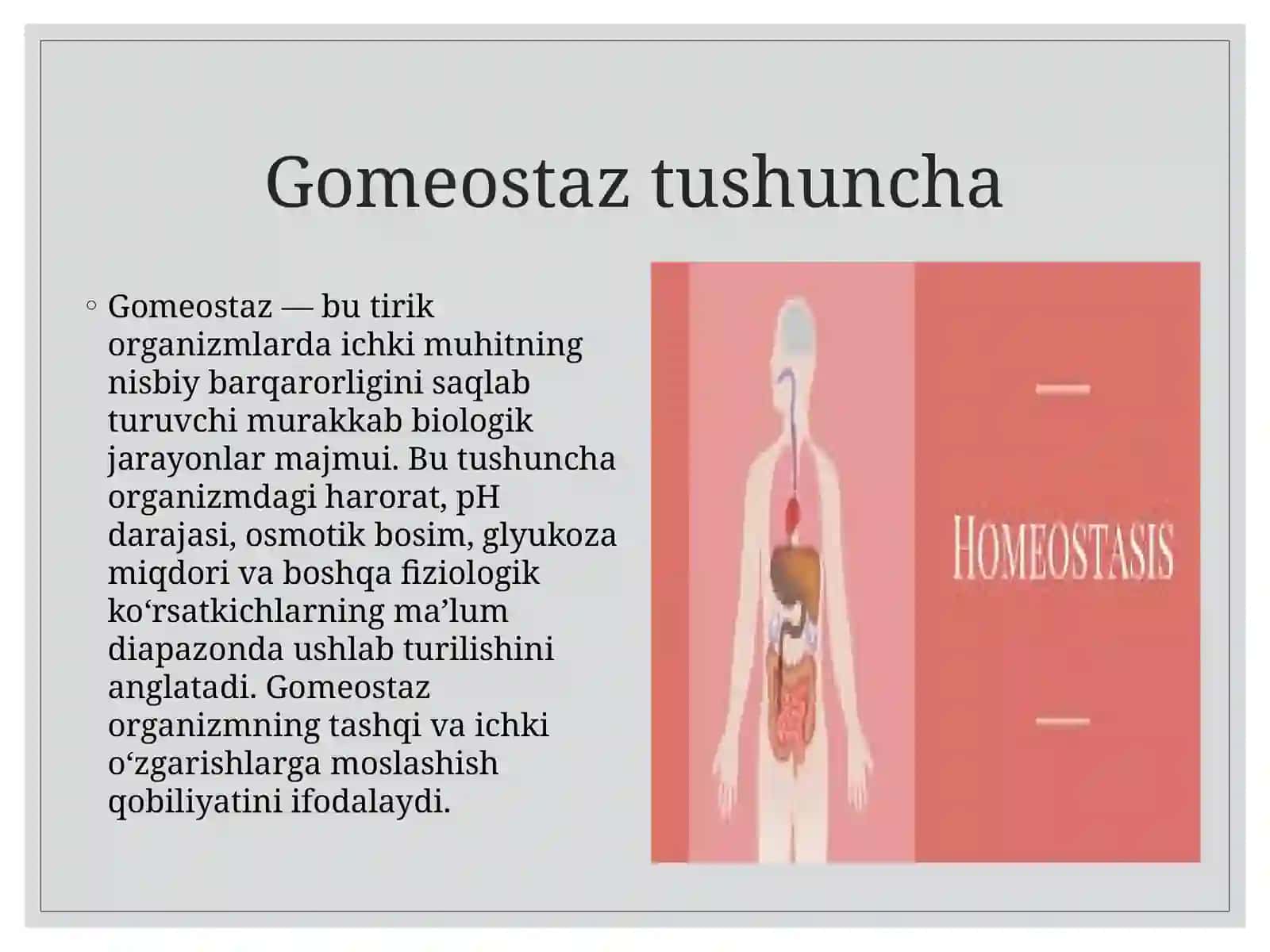 GOMEOSTAZ VA UNING AHAMIYAT 2