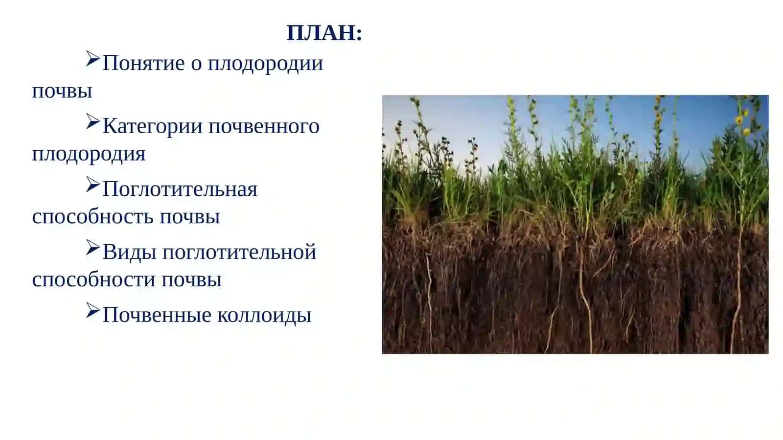 Почвоведение и агрохимия 2