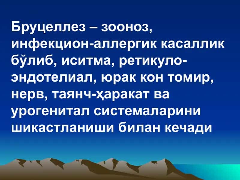 ЗООНОЗ КАСАЛЛИКЛАР. БРУЦЕЛЛЁЗ. 2