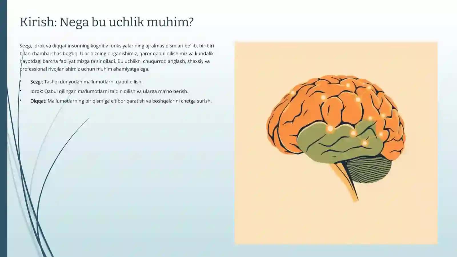 Sezgi, Idrok, Diqqat. Inson Aqli Sirrlari 2