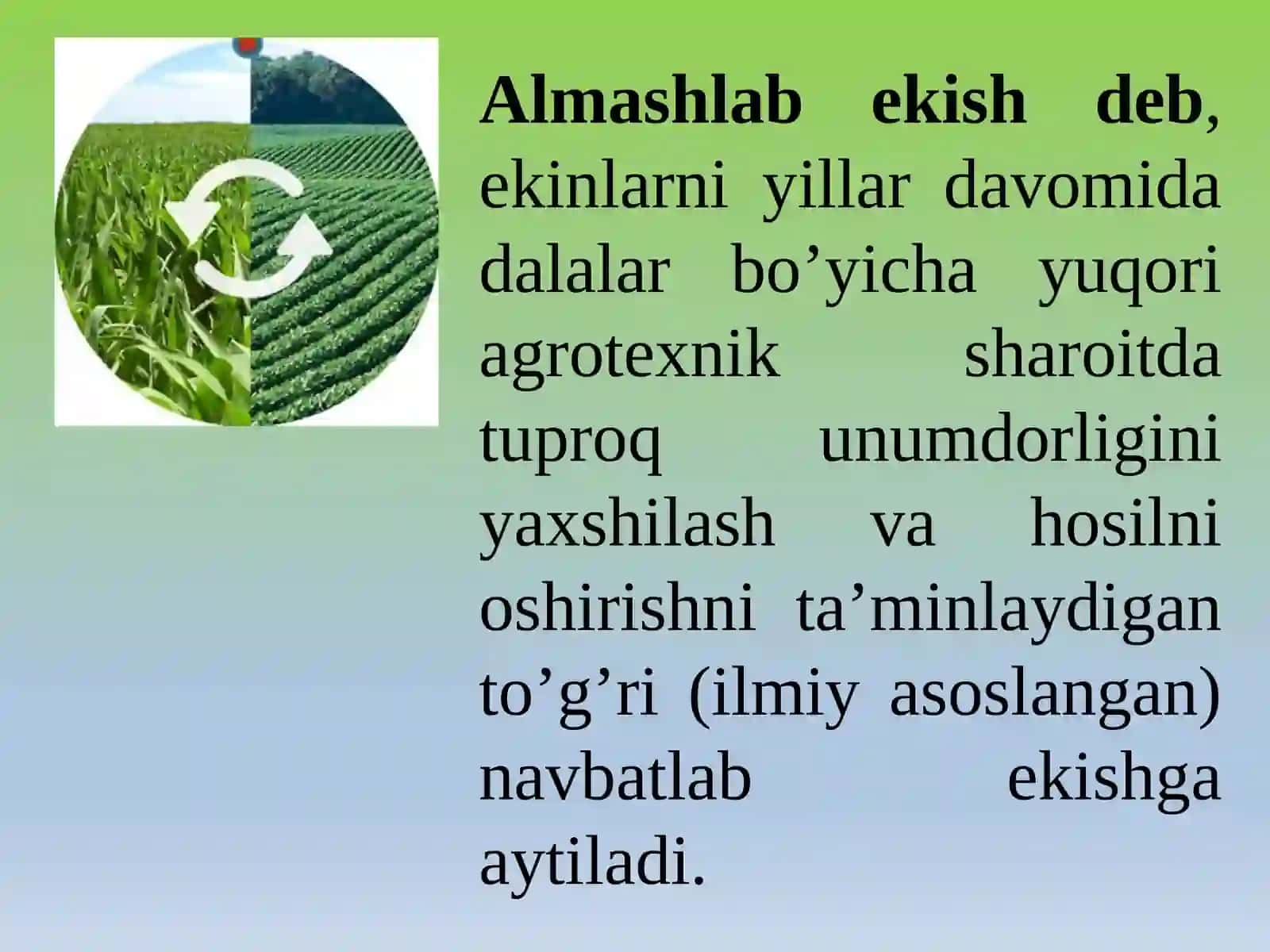 ALMASHLAB EKISH 2