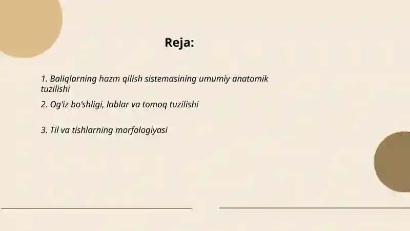 Baliqlarning hazm qilish sistemasining tuzilishi 2