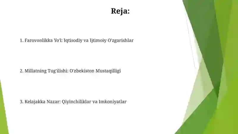 Mustaqillikning Dastlabki Yillari 2