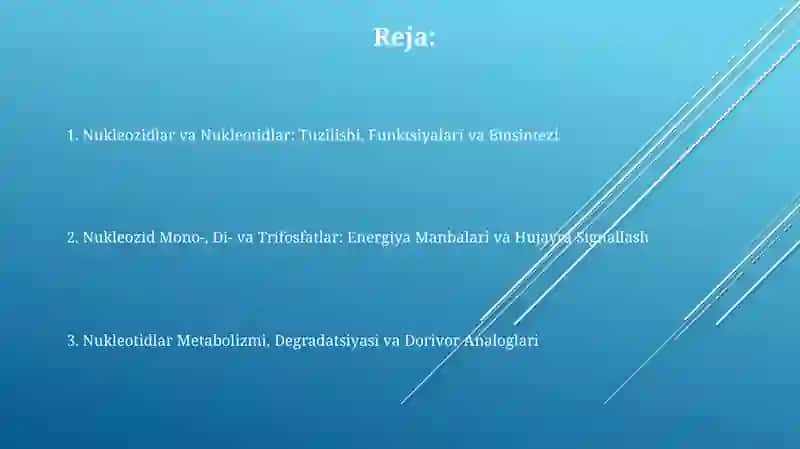 Nukleozidlar va Nukleotidlar 2