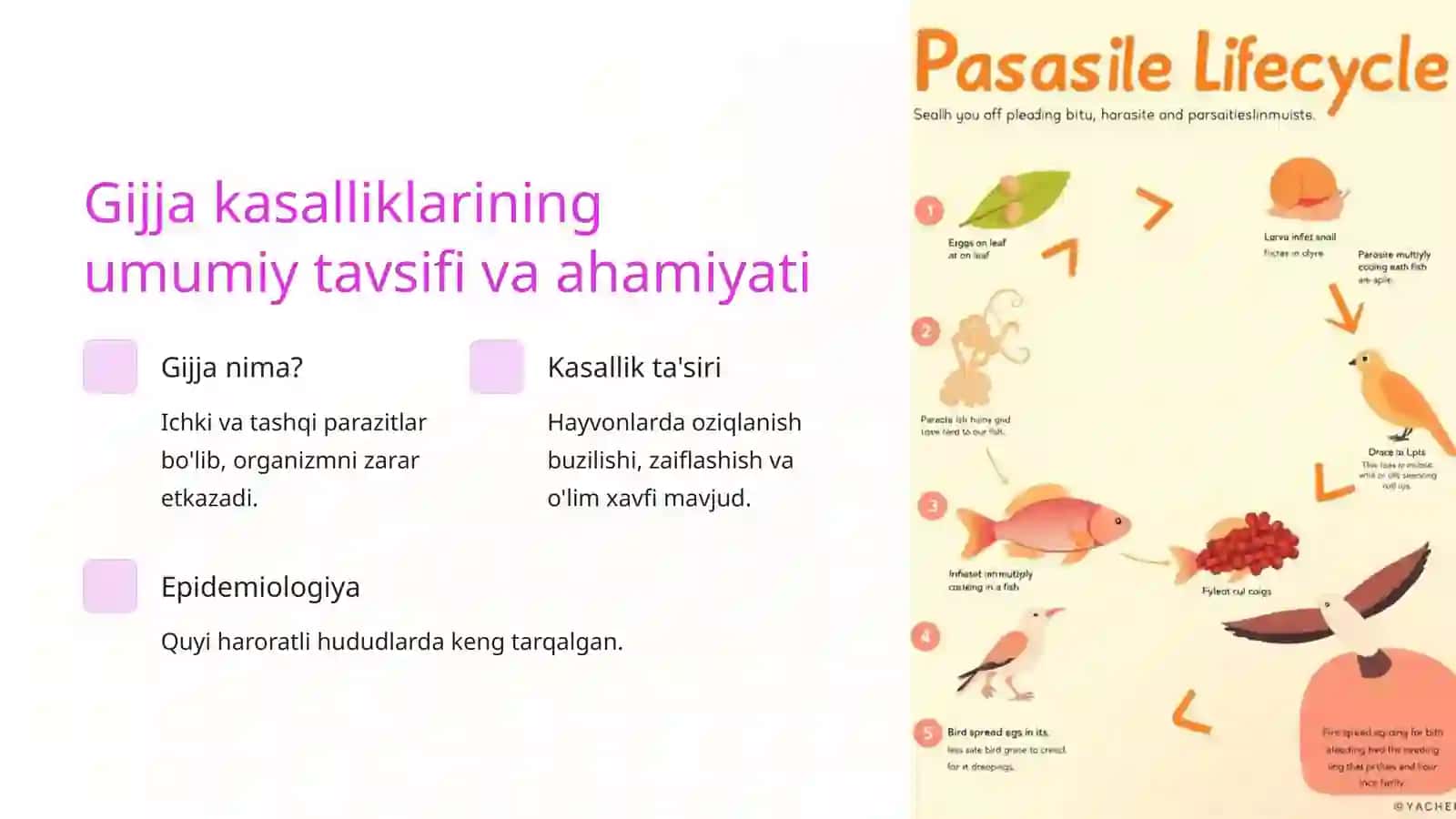 Gijjalarga qarshi vositalar 2