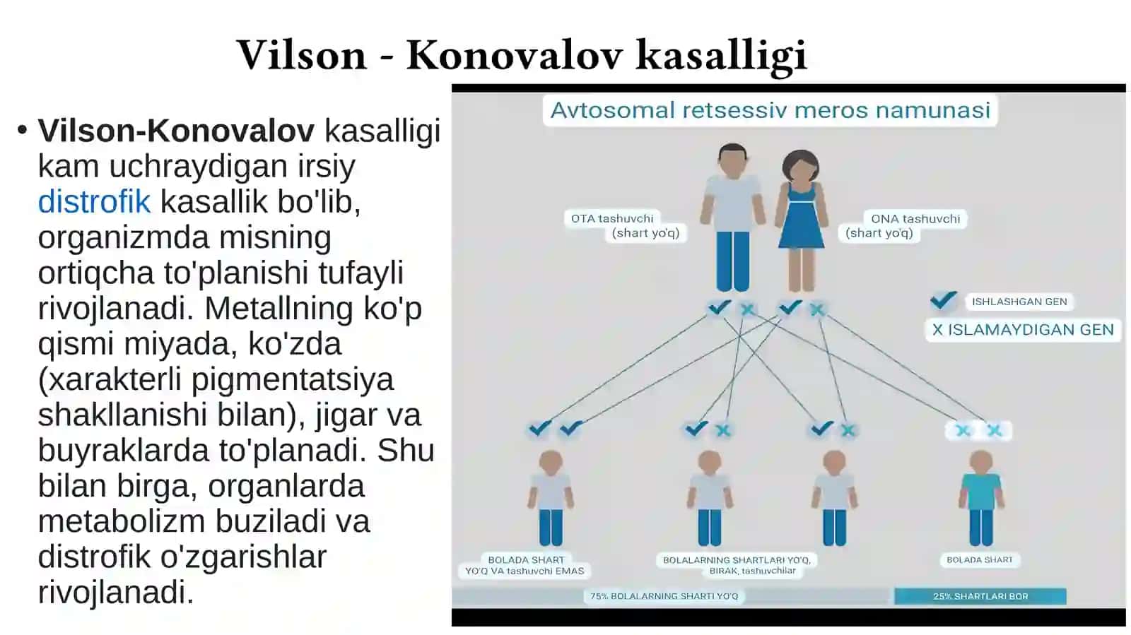 Vilson-Konovalov kasalligi 2