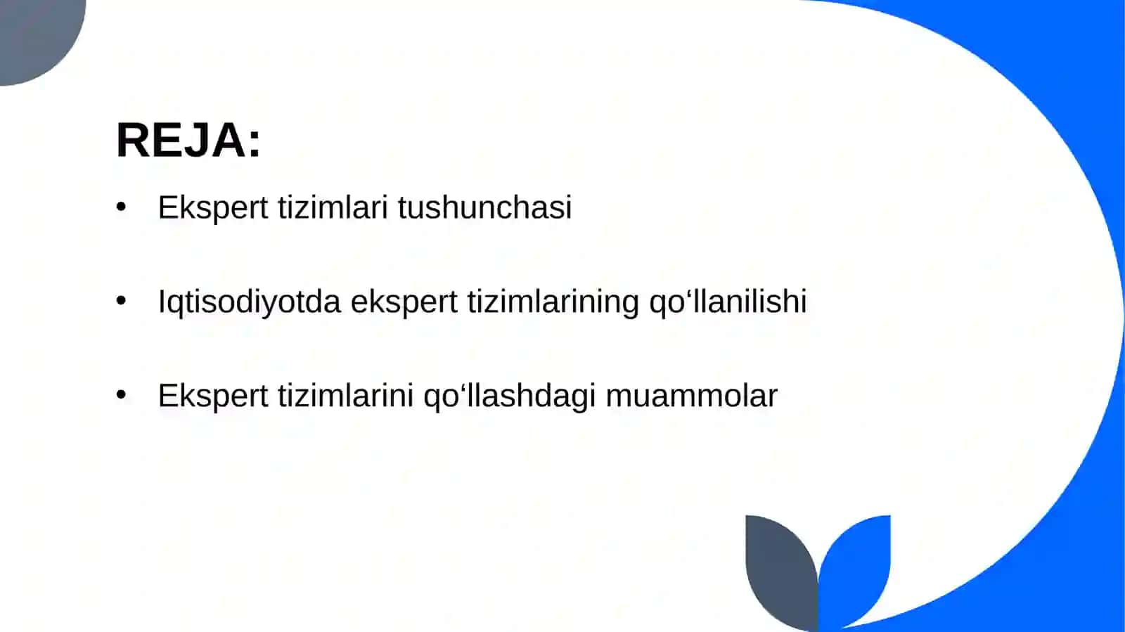 Ekspert tizimlari iqtisodiyotda 2