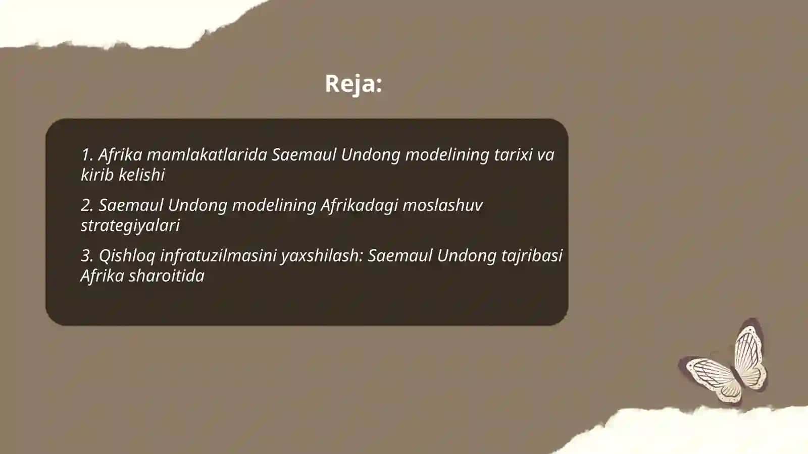 Afrika mamlakatlarida Saemaul Undong modeli 2