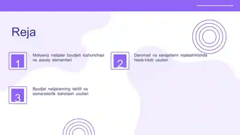 Moliyaviy natijalar byudjeti tushunchasi 2