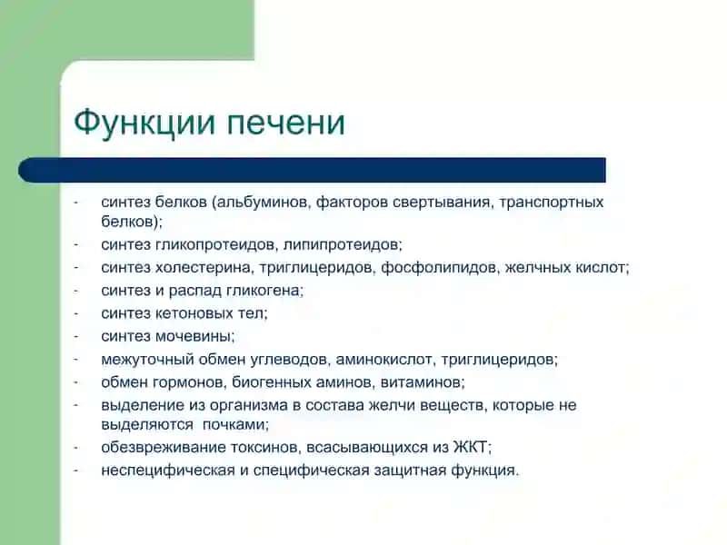 Патофизиология печени 2