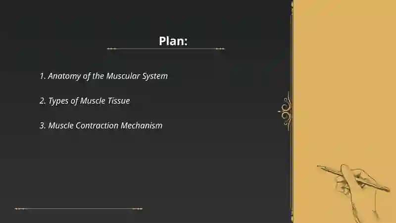Muscular system 2