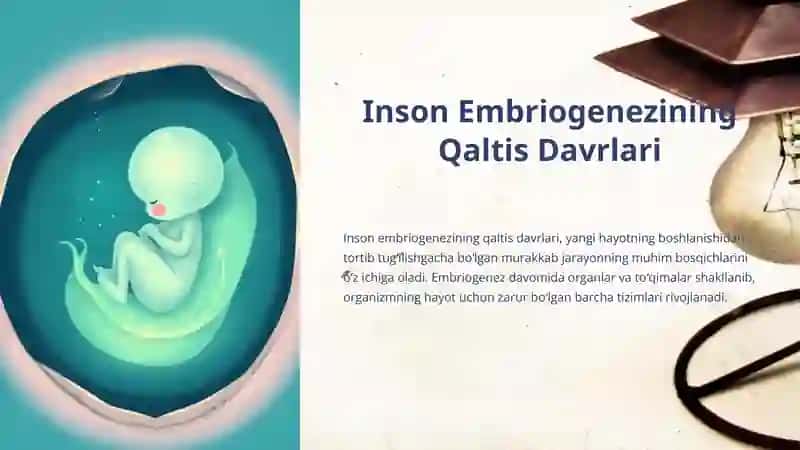 Inson Embriogenezining Qaltis Davrlari 2