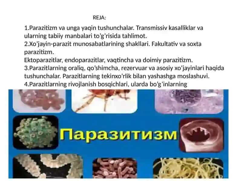 Parazitizm haqida tushunchalar 2