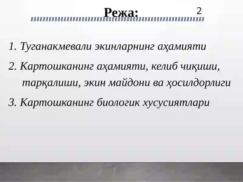 Тугунакмева ва картошка 2
