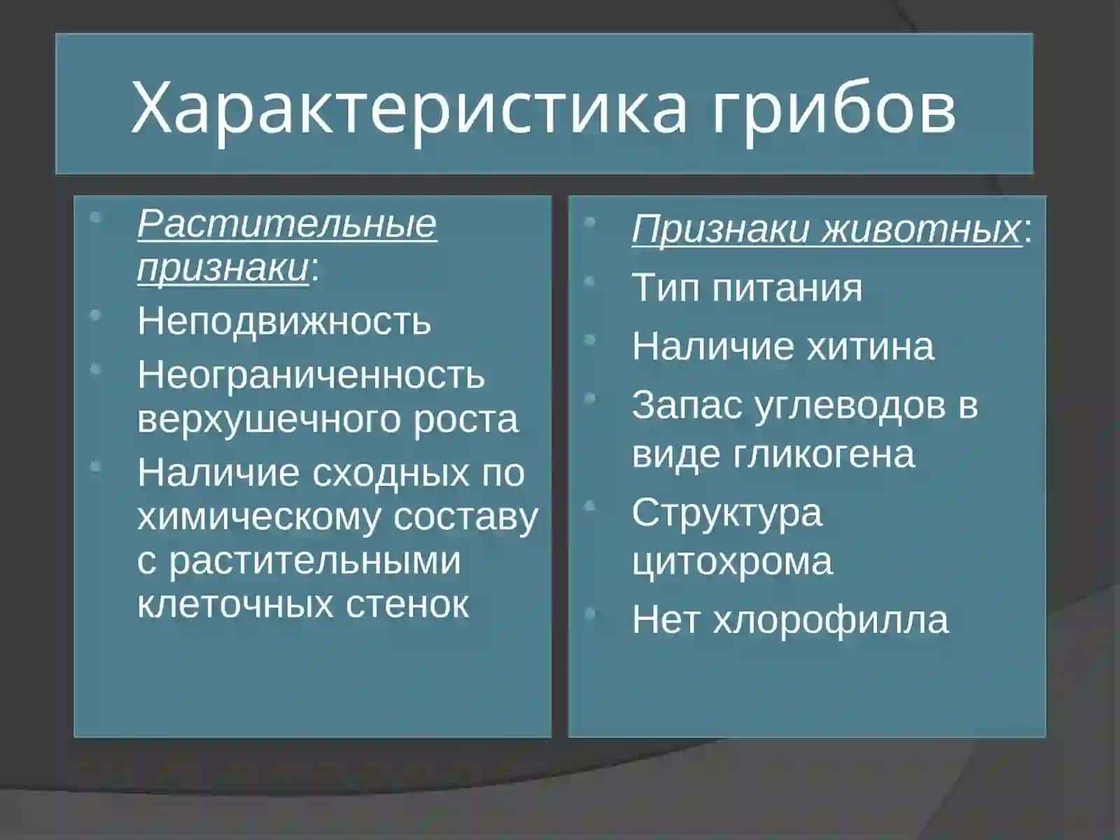 Клеточные формы микроорганизмов 2