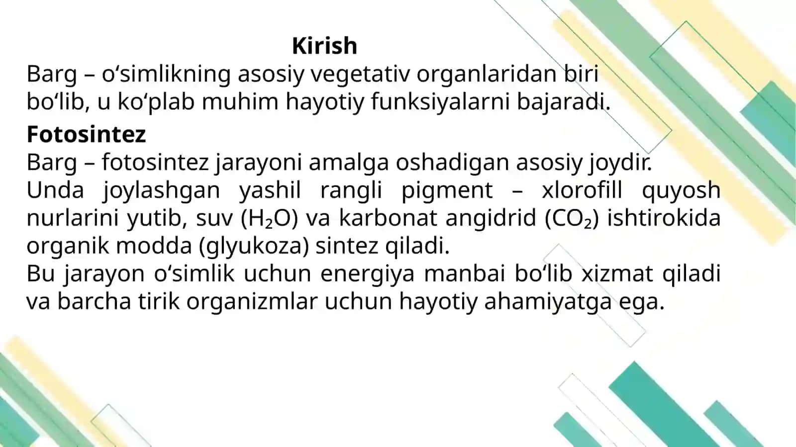 Ikki urugʻpallali oʻsimliklar bargining morfologik va anatomik xususiyatlari 2