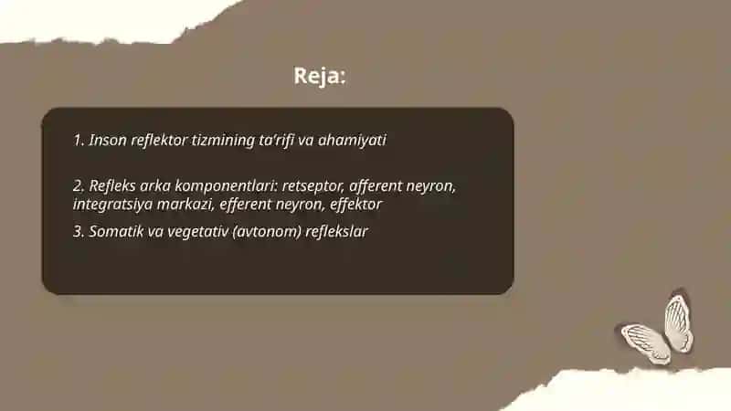 Inson reflektor tizmi 2
