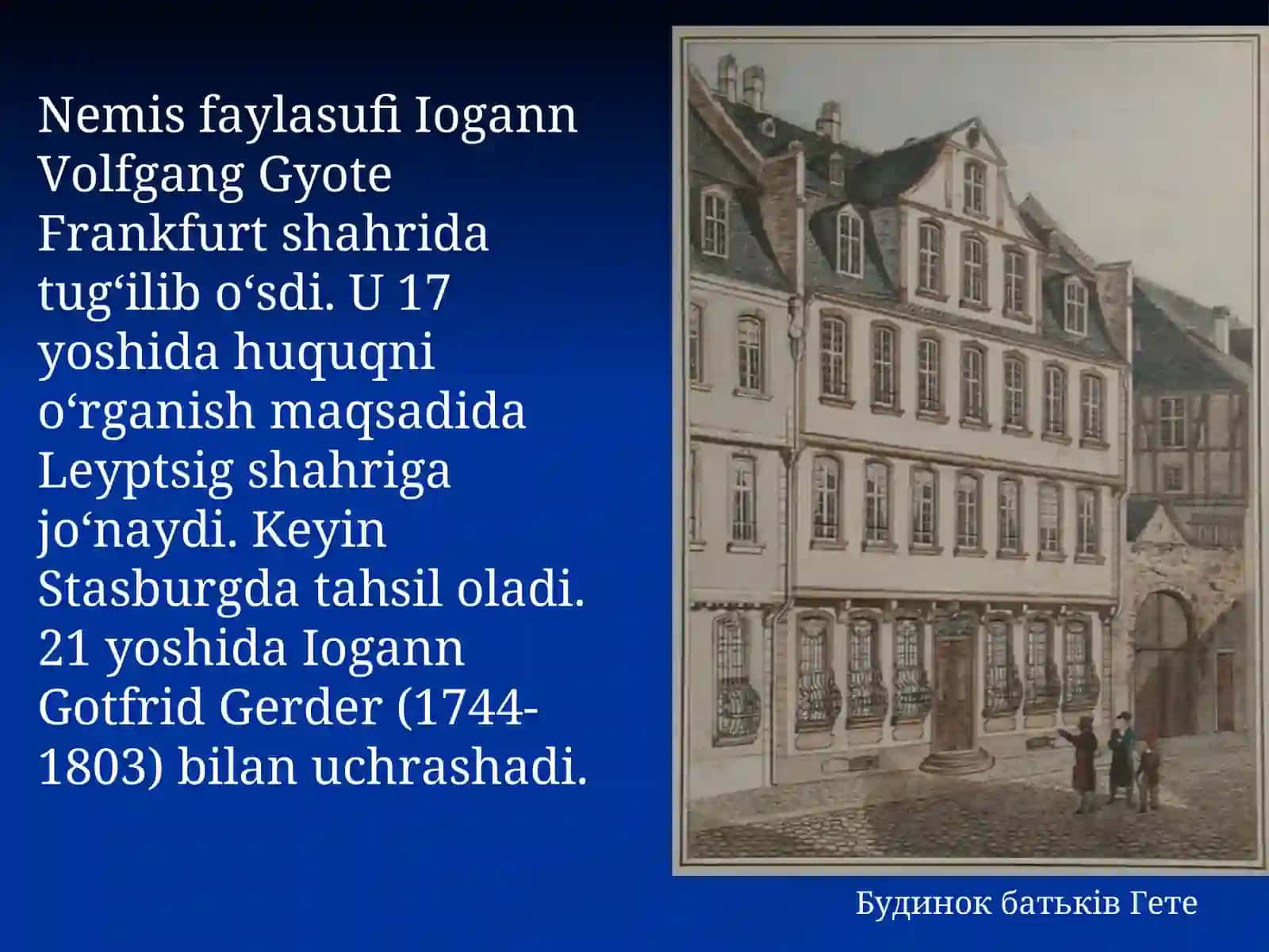 IOGANN VOLFGANG GYOTE 2